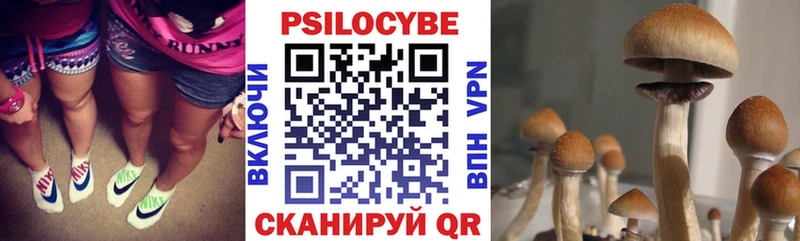 Купить закладки  Давлеканово  Галлюциногенные грибы Psilocybe 